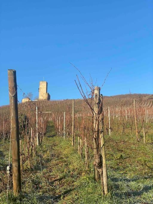 Le Cocon Du «Katzelberg» A 10Mn De Colmar Daire Katzenthal Dış mekan fotoğraf
