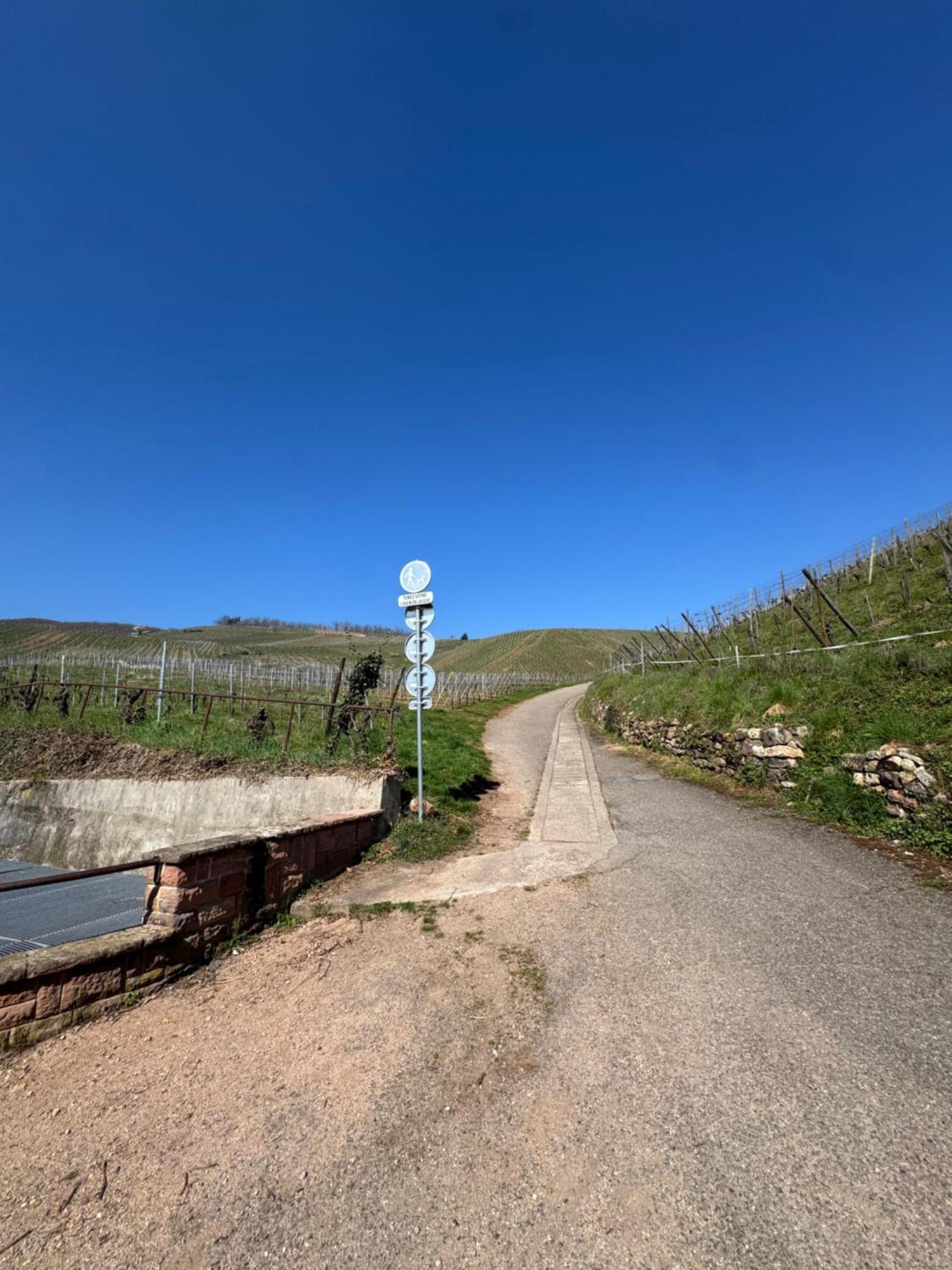 Le Cocon Du «Katzelberg» A 10Mn De Colmar Daire Katzenthal Dış mekan fotoğraf