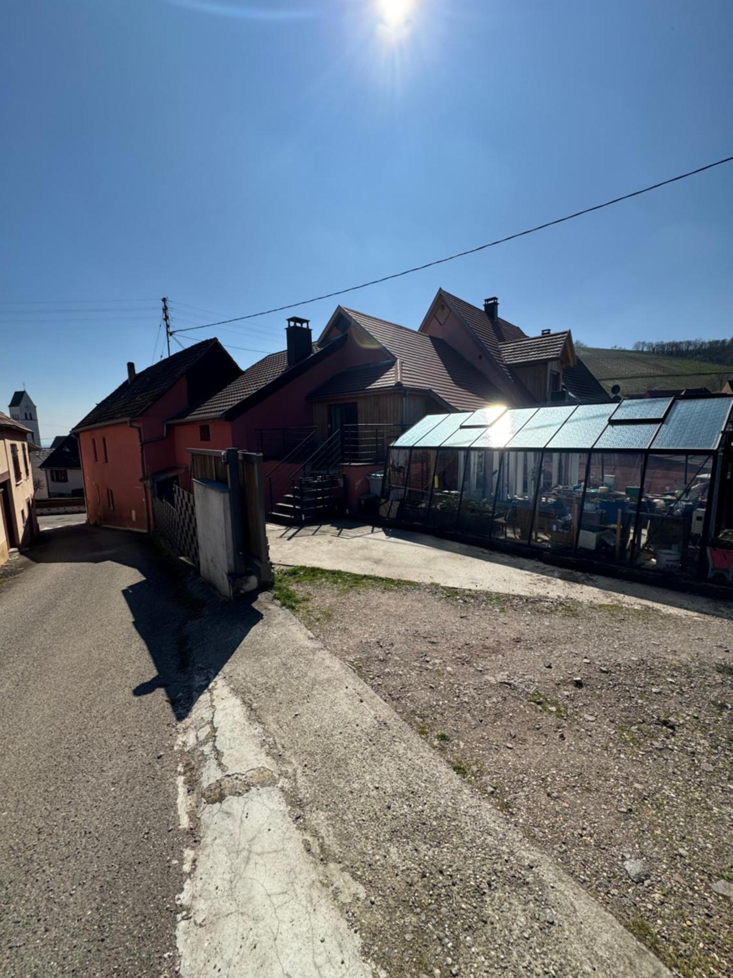 Le Cocon Du «Katzelberg» A 10Mn De Colmar Daire Katzenthal Dış mekan fotoğraf